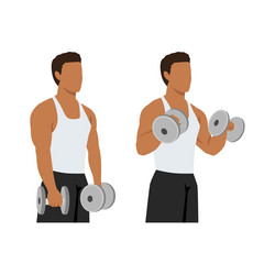 man doing dumbbell bicep reverse curls exercise vector image