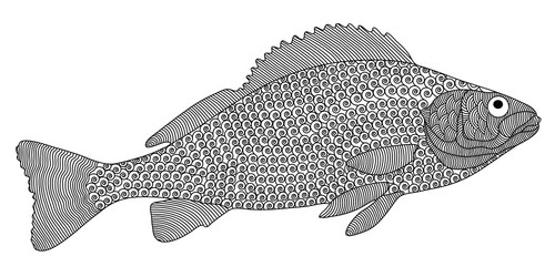 Zentangle Black Fish Pattern Vector Image