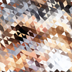 abstract image with texture light triangles vector image