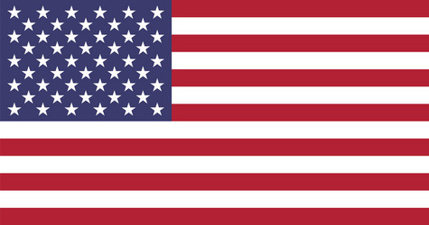United States Flag Vector Image