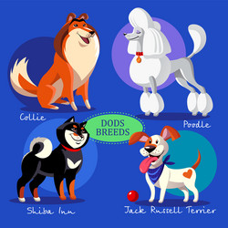 Dog breeds set small and medium size Royalty Free Vector