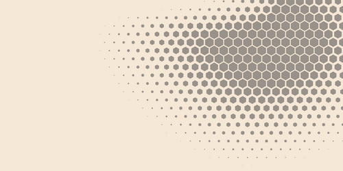 geometric abstract hexagon two color background vector image