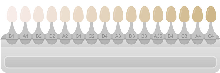 nail polish samples teeth color chart vector