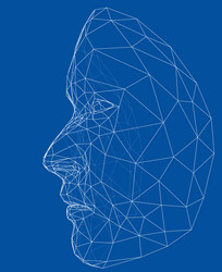Human face mesh 3d modeling recognition head scan Vector Image