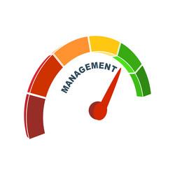 concept of project management organizing vector image