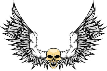 colored human skull with fur Vector Image