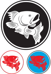 koi carp Vector Image