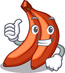 Thumbs up abunch in red bananas fruit character vector