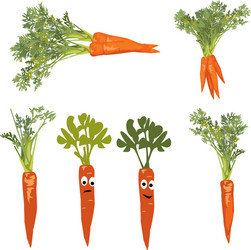 Carrot with a face objects on white background vector