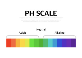 ph scale universal indicator color chart vector image