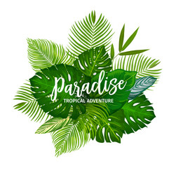 Tropical Palm Leaves & Herbs Vector Image