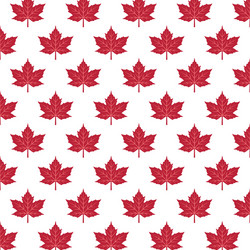 Pattern with red maple leaves vector