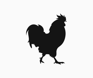 silhouette of rooster or a cock Vector Image