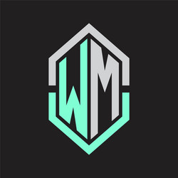 wm logo monogram with hexagon shape and outline vector image