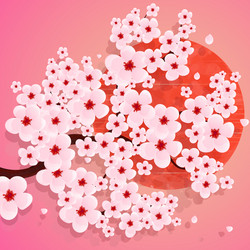 realistic sakura japan cherry branch vector