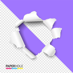 Paper realistic hole. Ripped torn hole on transparent background, cardboard  rip burst, damaged sheet with curled pieces, open paper gap, bullets ripping  page texture vector illustration Stock Vector