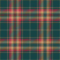 Scottish Tartan Plaid Pattern vector image