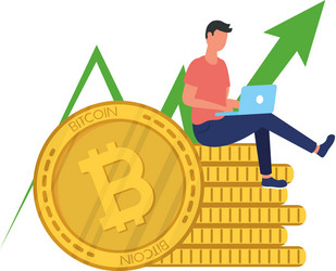 Man seated using laptop in bitcoins crypto vector