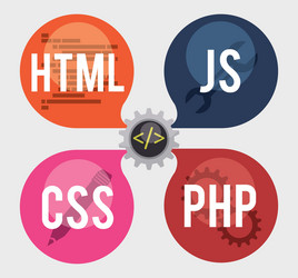 web developer design vector image