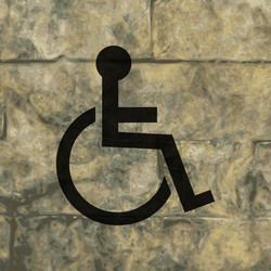 disabled flat modern web button and space for your vector image