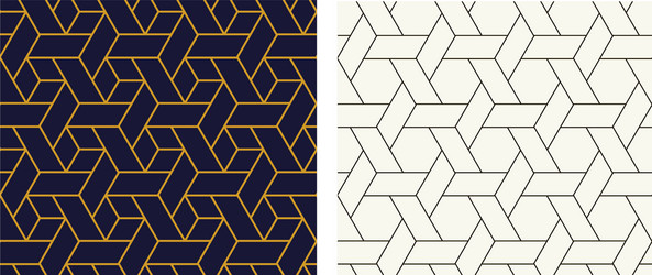 Modern Hexagon Pattern vector image