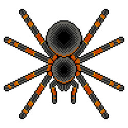 pixel art tarantula spider detailed isolated vector