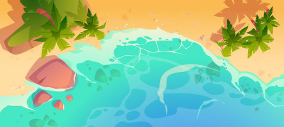 summer ocean beach with palm trees top view vector