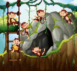 scene with monkeys playing in the cave vector