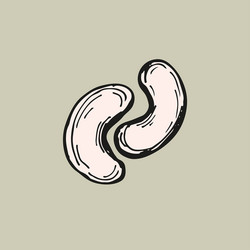 cashew nuts sketch outline in color simple vector image