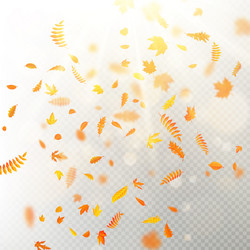 effect of autumn falling leaves layer with shallow vector image