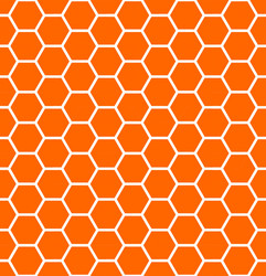 Honeycomb Texture - Seamless Pattern vector image