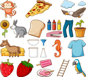 Large set different animals and other objects Vector Image