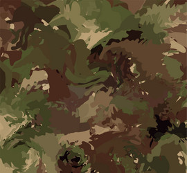 Abstract Camo Splash Pattern vector image