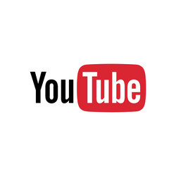 Red Play Button YouTube Icon vector image