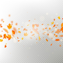 effect of autumn falling leaves layer with shallow vector image