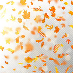 effect of autumn falling leaves layer with shallow vector image