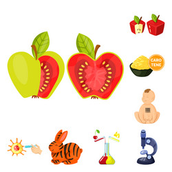 isolated object modified and genetically sign vector image