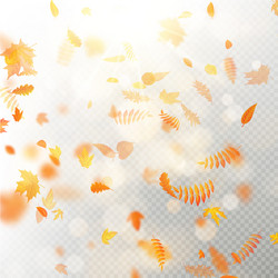 effect of autumn falling leaves layer with shallow vector image