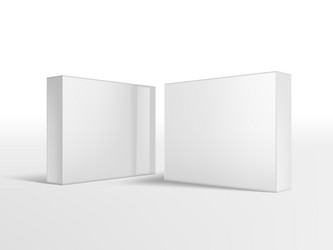 3d two glossy paper boxes isolated on white vector