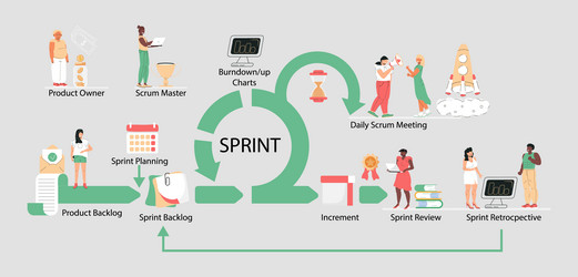 scrum framework scheme daily srum vector image