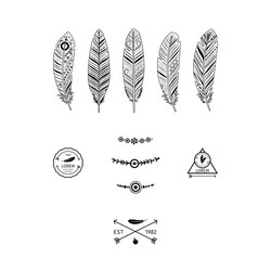 Set of ethnic feathers Royalty Free Vector Image