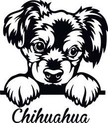 Chihuahua Peeking Head - Isolated Vector Image