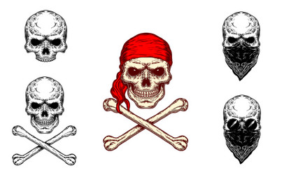 Skull and Crossbones with Bandana Vector Image