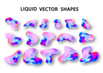 fluid shape layout isolated template set colorful vector image