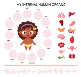 Female Human Body Parts Vector Images (over 4,500)