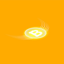 bitcoin cripto currency blockchain flat vector image