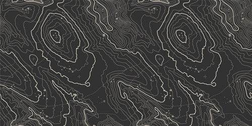 seamless pattern topographic map background vector image