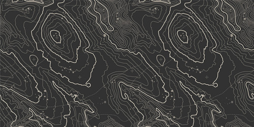 Seamless pattern topographic map background vector