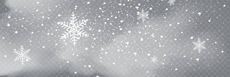 snowfall snowflakes in different shapes and forms vector image