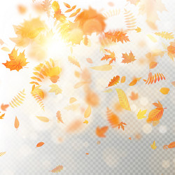 effect of autumn falling leaves layer with shallow vector image